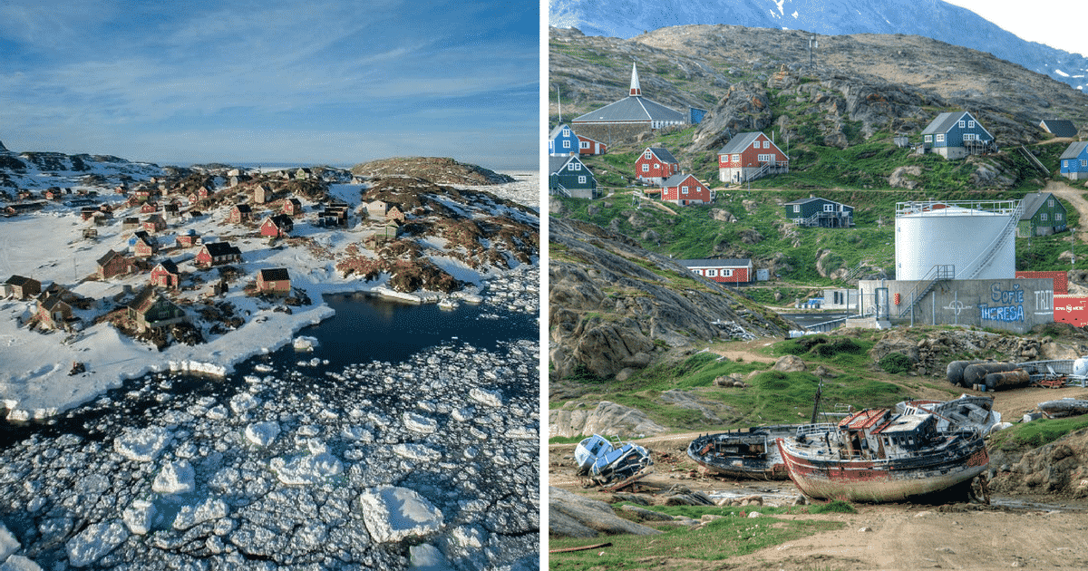 Сезар арктика остров большевик фото